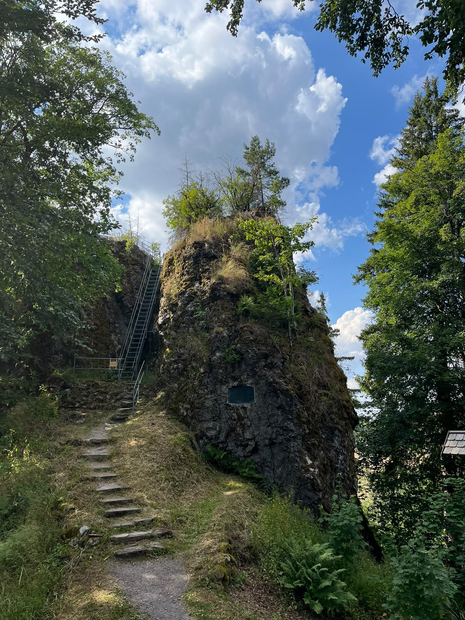 Felsiger Aufstieg mit Treppe im Wald