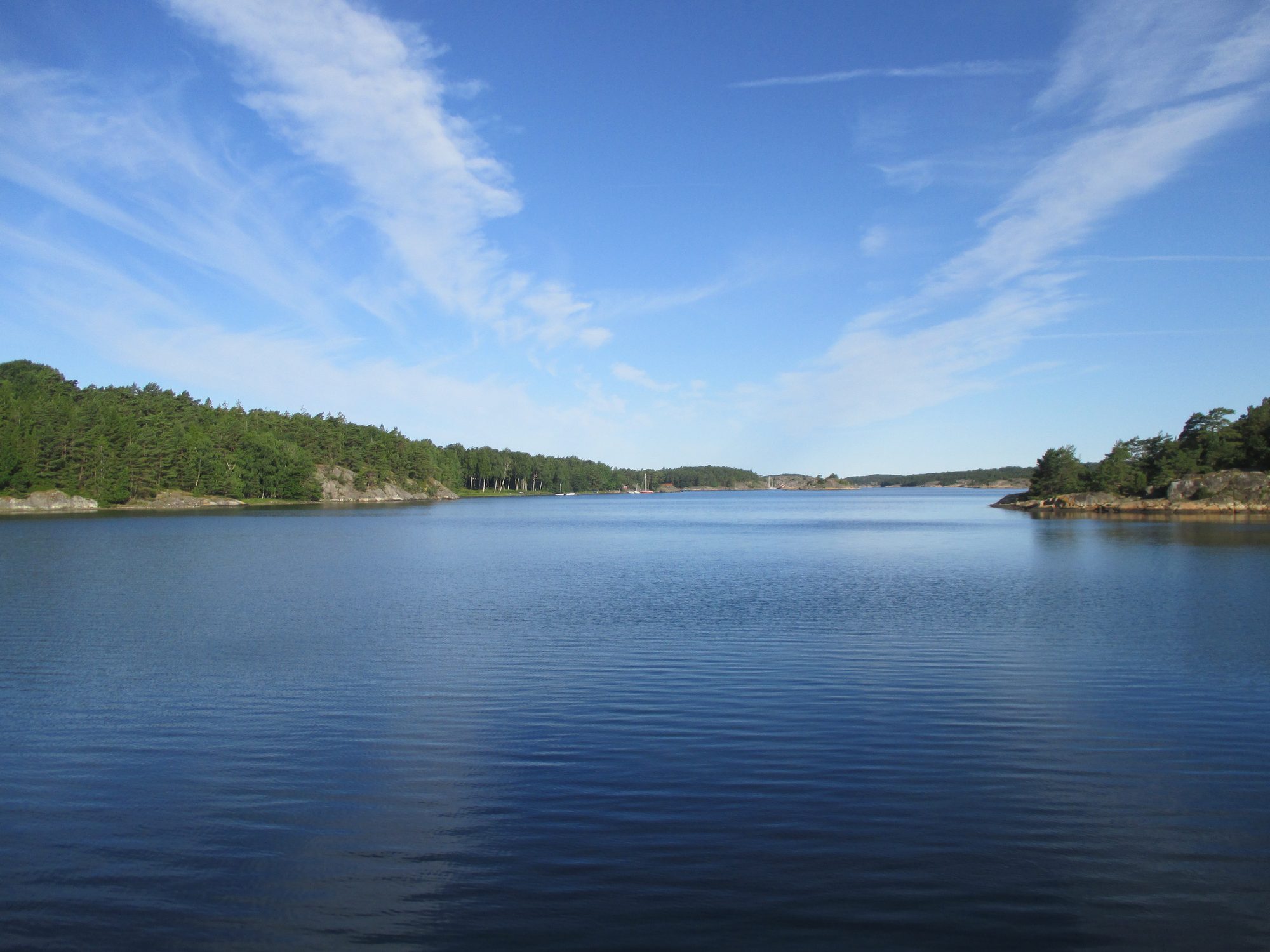 Ruhiger See mit Wald am Ufer